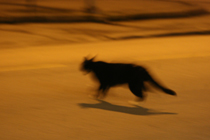 bn_katz_lite.jpg bn_katz_lite.jpg